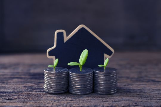Piles of coins with seedlings in front of a cartoon house