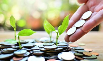 Busting investor myths: 3 common misconceptions rookies make about the stock market