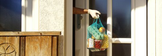 groceries delivered quarantine