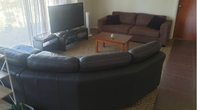 Codey couches for free