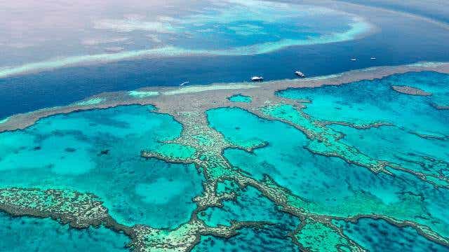 An aerial view of the Great Barrier Reef.