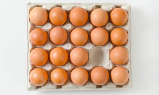 Eggs in carton concept image