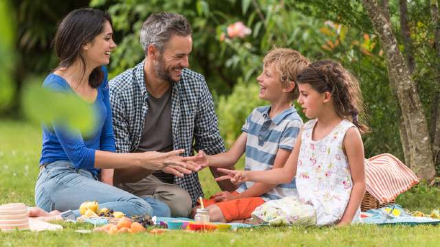 Family having picnic