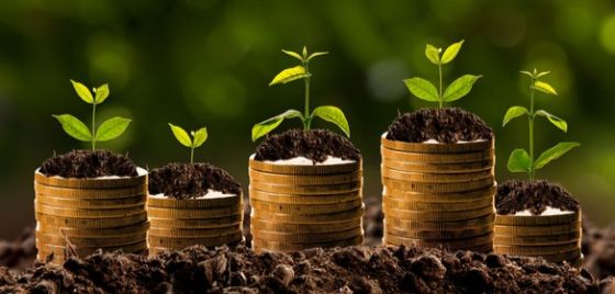 Superannuation Awards 2021 (hubpage)