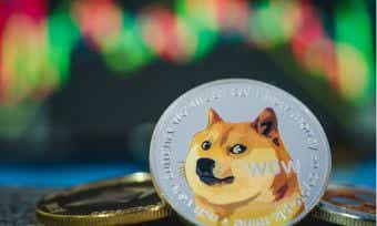 What's going to be the next Shiba Inu?