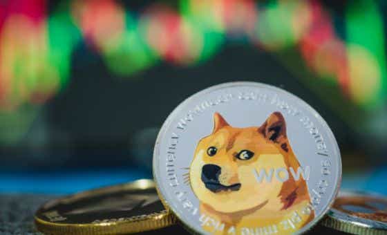 Dogecoin- is it worth investing in