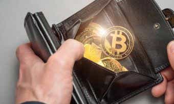 Bitcoin Wallets: Everything You Need to Know