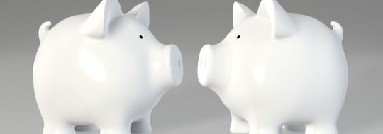 Two piggy banks