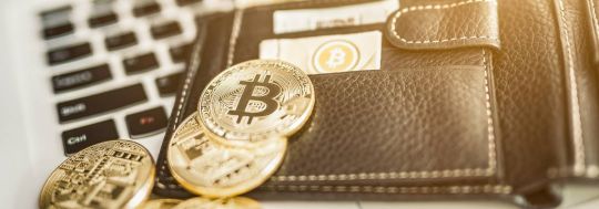 Best crypto wallets