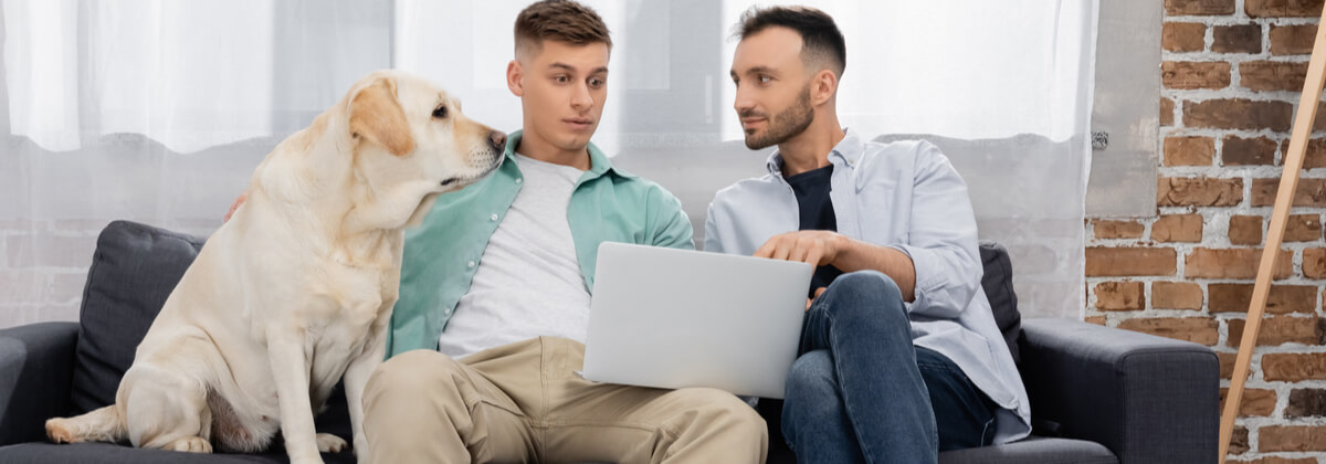 Pet Insurance Star Ratings Final