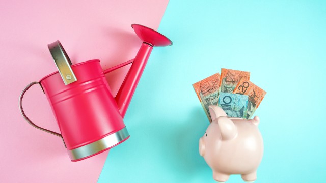 Watering piggy bank