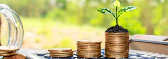 Investment funds