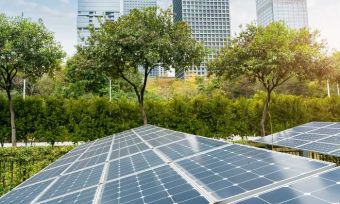 How to find green and sustainable investment options