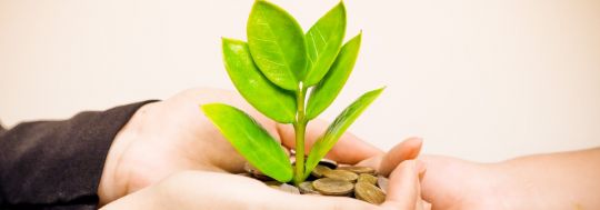 Ethical investment portfolio