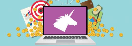 What are unicorns?