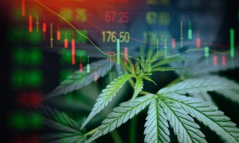 Opinion: Should You Invest in Cannabis (Marijuana) Stocks?