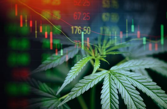 Business,Cannabis,Marijuana,Stock,Exchange,Market,Graph,Business,/,Cannabis