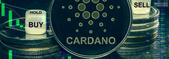 Cardano cryptocurrency