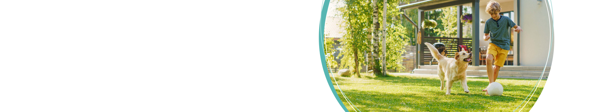 home-loans selector background