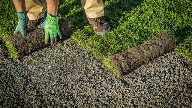 Laying turf