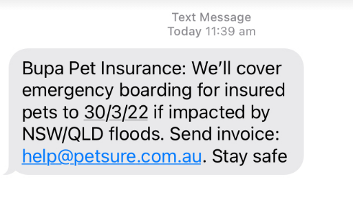 Pet insurance cover during flooding