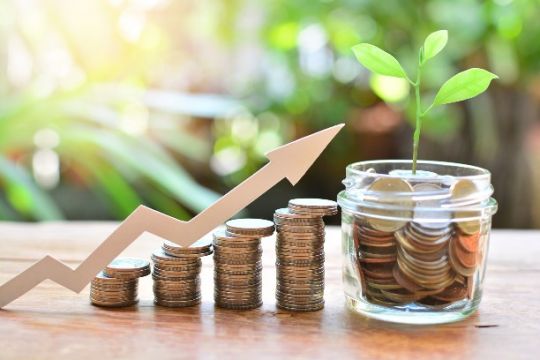 Dividend reinvestment plans