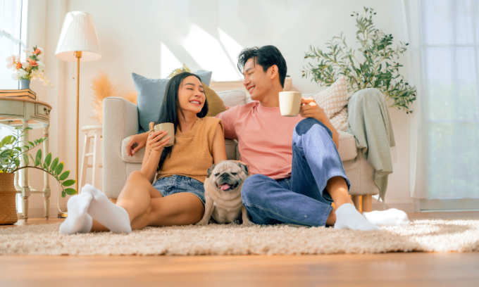 5 ways to cut the cost of caring for your pet