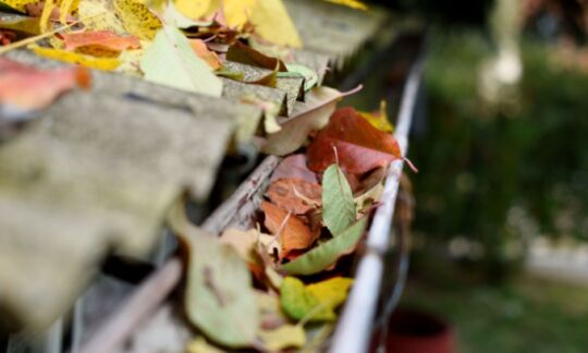 Are blocked gutters covered by home insurance