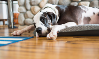 How much does bamboo flooring installation cost?