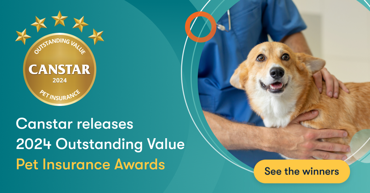 Lifelong Dog Insurance: Secure Your Pet's Future Today