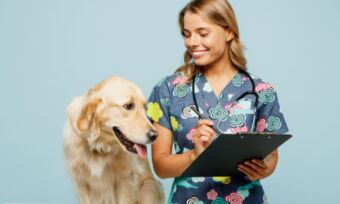 How much does dog insurance cost for different breeds?
