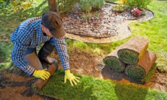 How much does it cost to landscape your backyard?