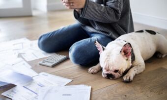 How much does it cost to own a dog?