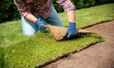 A man lays turf representing how much does turf cost?