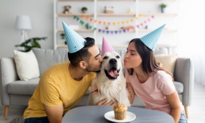 couple posing for a picture with a golden retriever dog for birthday
