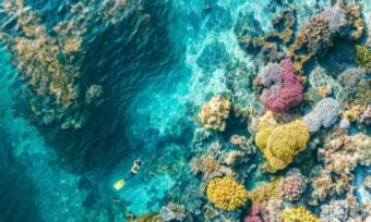 Travel Insurance For Fiji