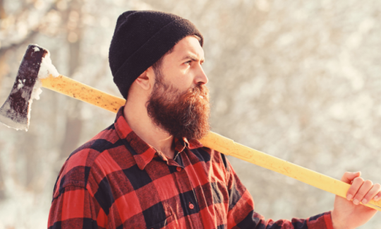 Tree removal cost