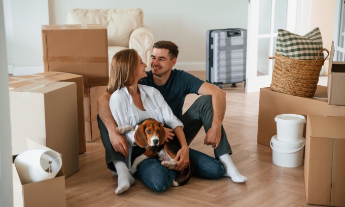 What type of pet is right for you to get
