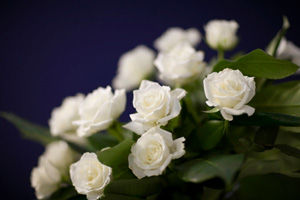 Let’s Insure: Award-Winning Funeral Insurance