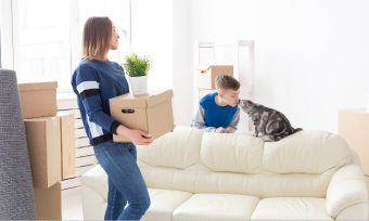 Property settlement: what is it and how does it work when buying a home?